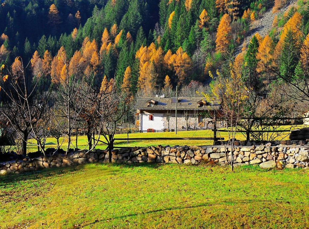 Maso Franceschella Bed & Breakfast Carano  Luaran gambar